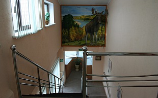 Березка Березка