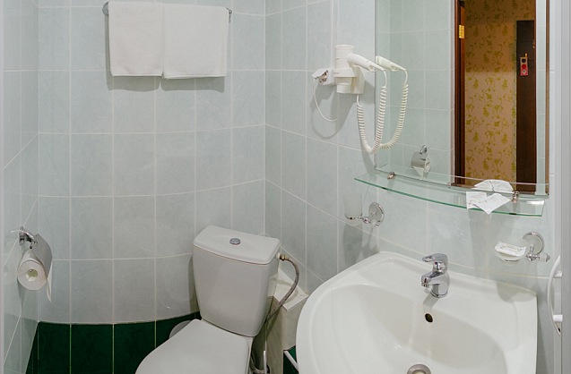 Стандарт двухместный - Туалетная комната